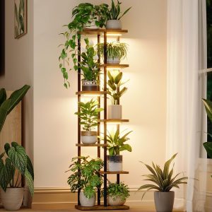 Corner Plant Shelf with Grow Light